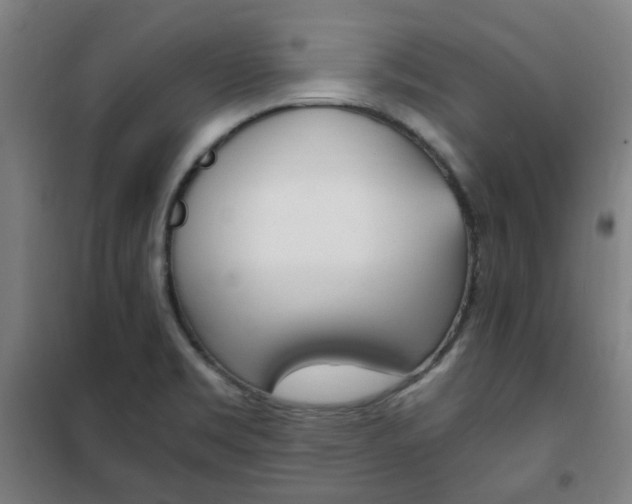 X0000101711469200807101357