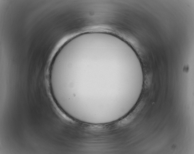 X0000101711470200807101357