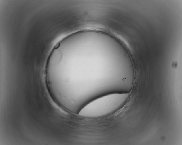 X0000101711471200807101357