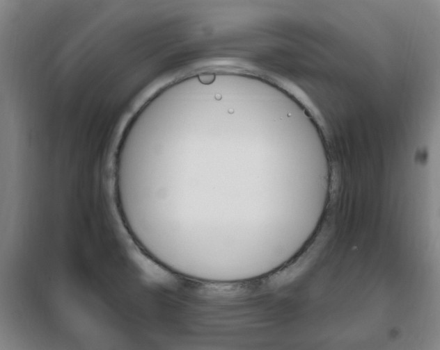 X0000101711474200807101357