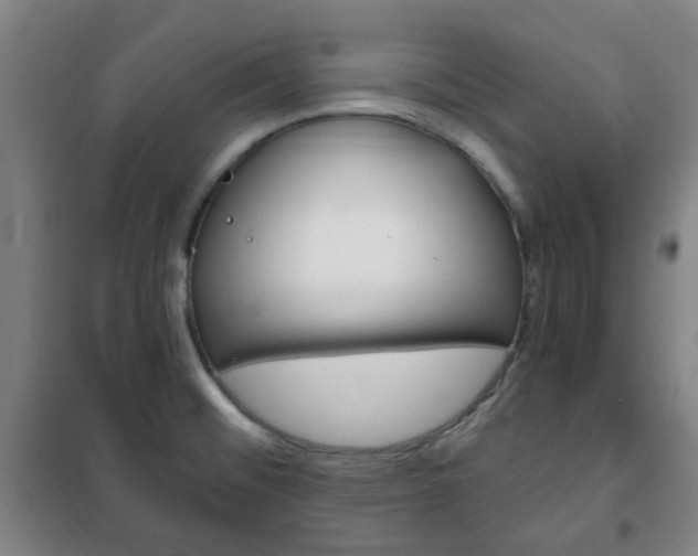 X0000101711476200807101357