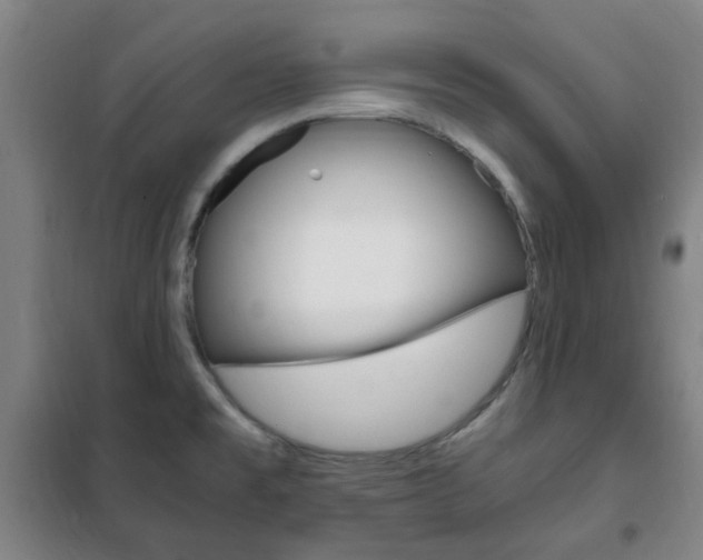 X0000101711477200807101357