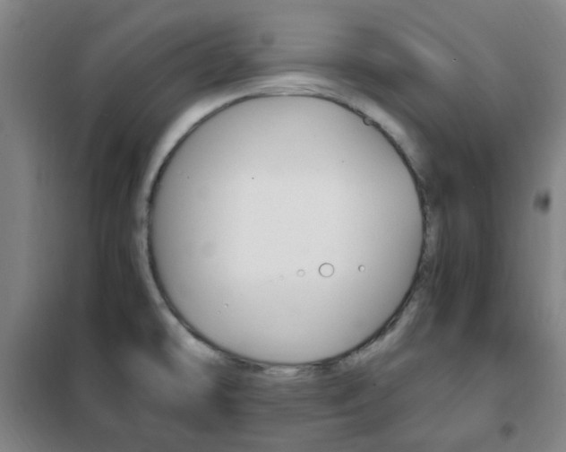 X0000101711478200807101357