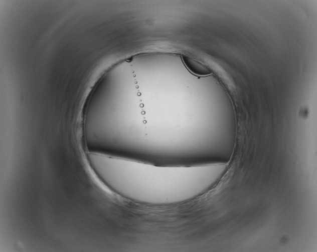 X0000101711479200807101357