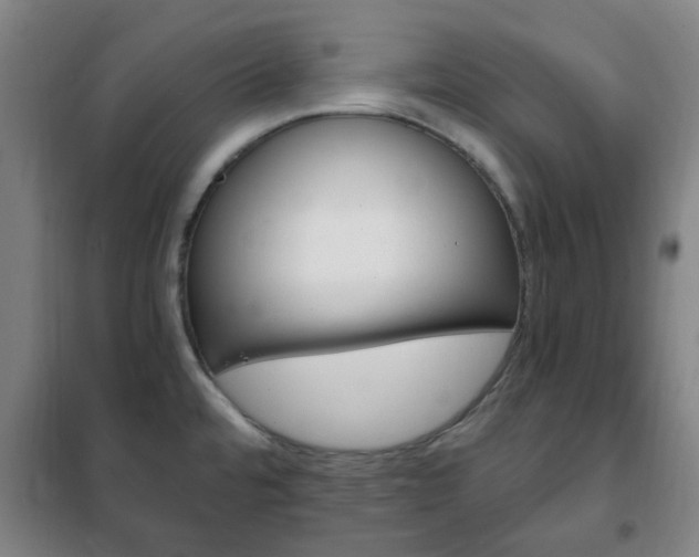 X0000101711480200807101357