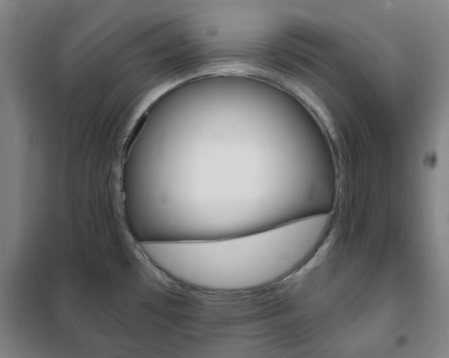 X0000101711481200807101357