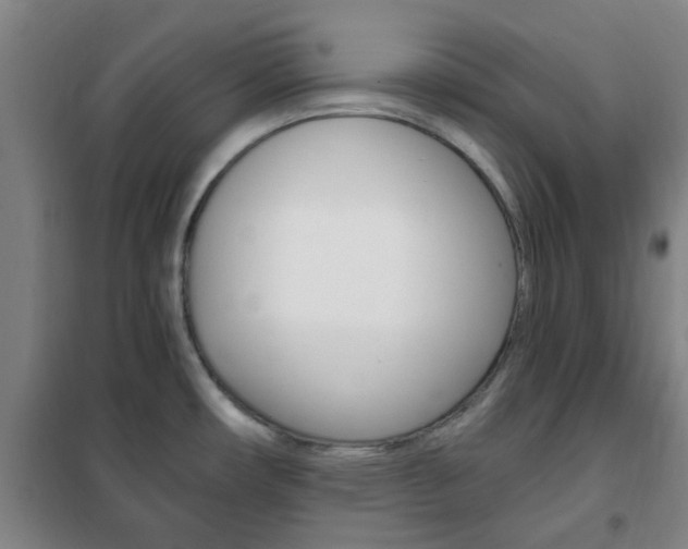 X0000101711482200807101357