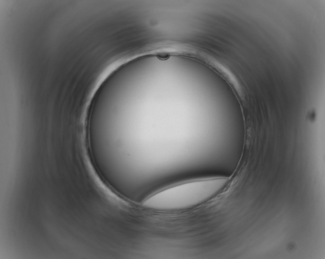 X0000101711483200807101357
