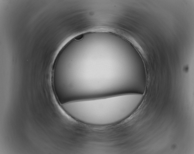X0000101711484200807101357