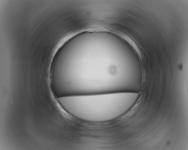 X0000101711485200807101357