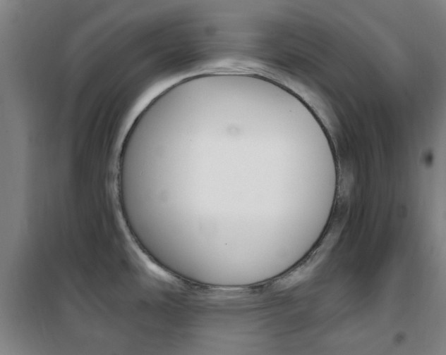 X0000101711486200807101357