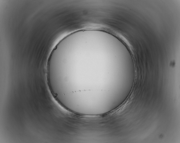 X0000101711487200807101357