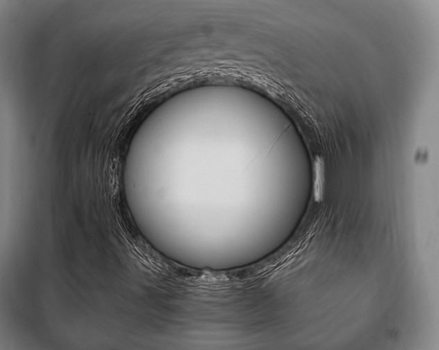 X0000101711491200807101356