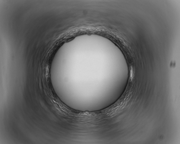 X0000101711492200807101356