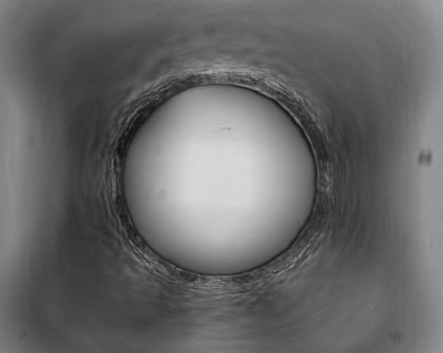 X0000101711493200807101356