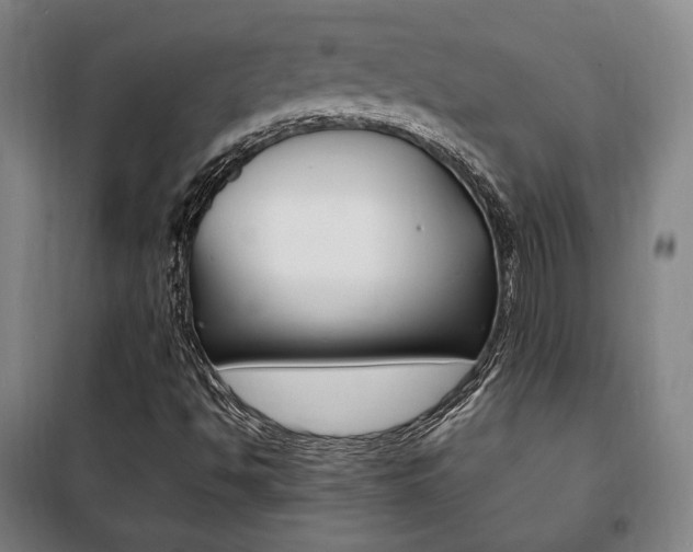 X0000101711494200807101356