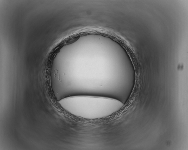 X0000101711496200807101356