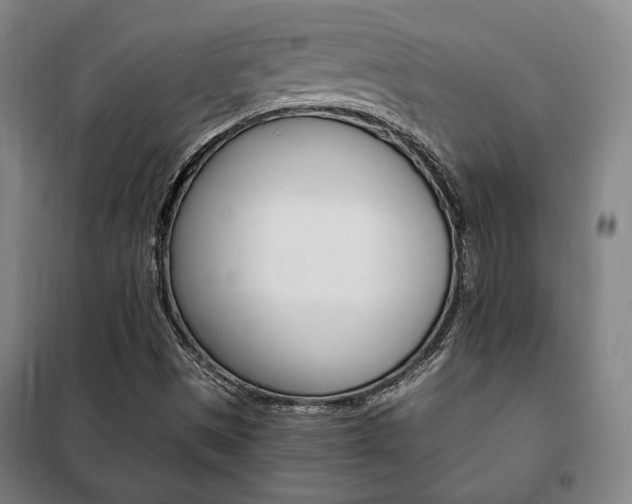 X0000101711497200807101356