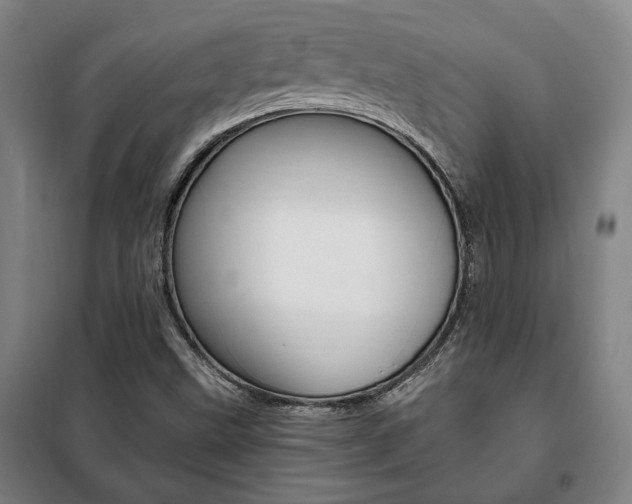 X0000101711499200807101356