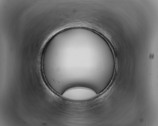 X0000101711500200807101356