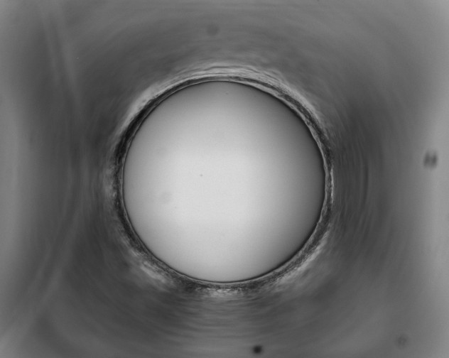 X0000101711501200807101356