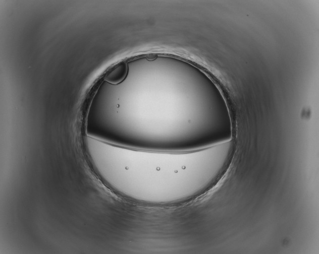 X0000101711502200807101356