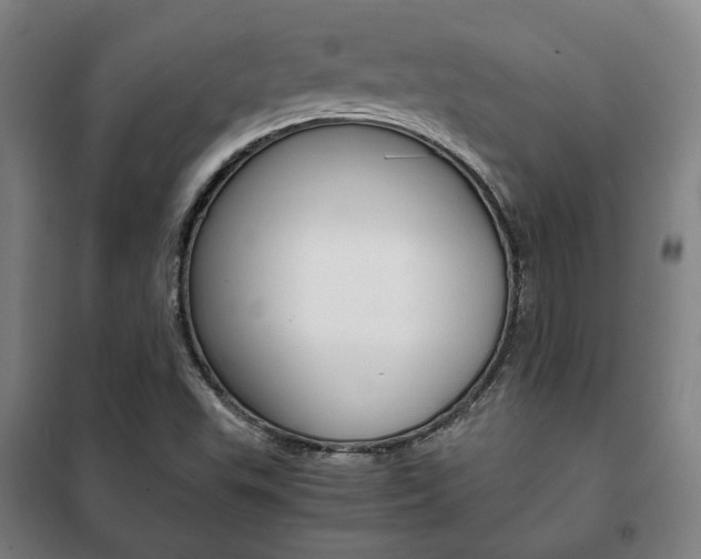 X0000101711503200807101356