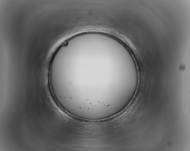 X0000101711504200807101356