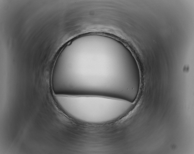 X0000101711505200807101357