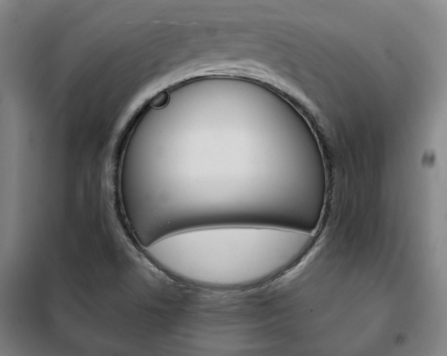 X0000101711506200807101357