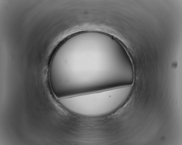 X0000101711507200807101357