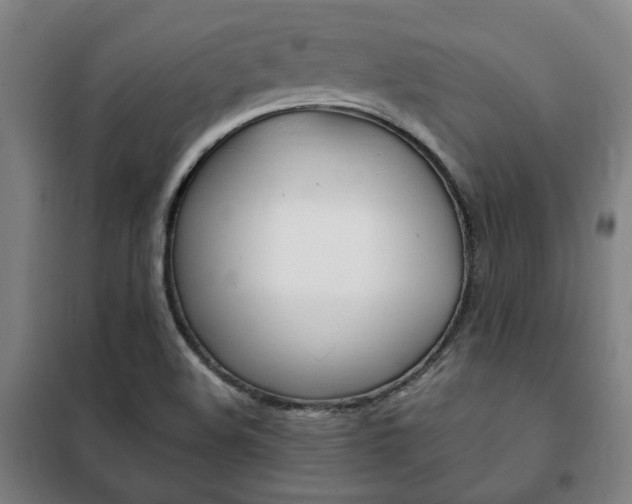 X0000101711508200807101357