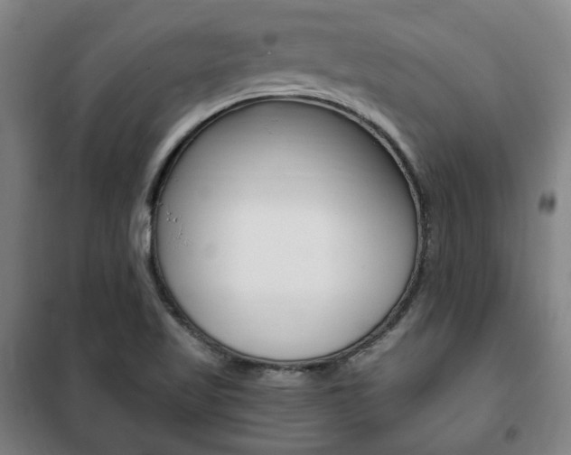 X0000101711509200807101357