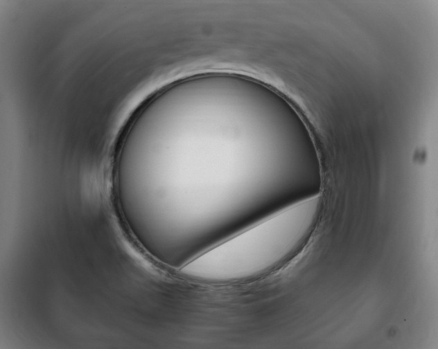 X0000101711511200807101357
