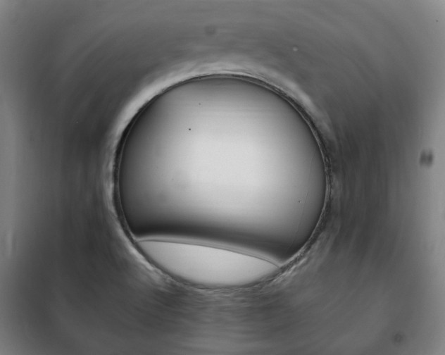 X0000101711512200807101357