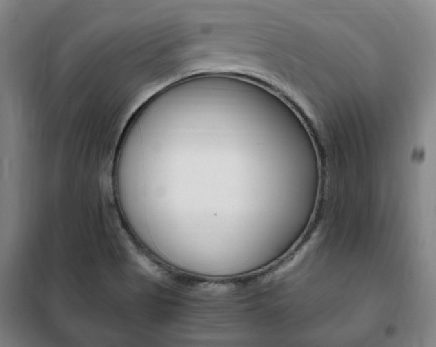 X0000101711513200807101357