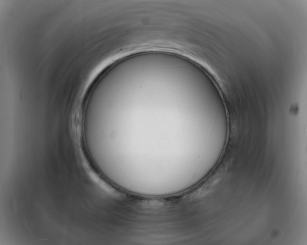 X0000101711515200807101357