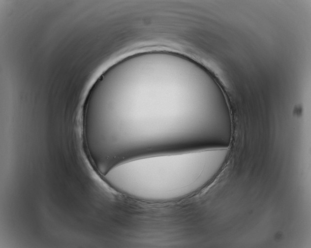 X0000101711516200807101357