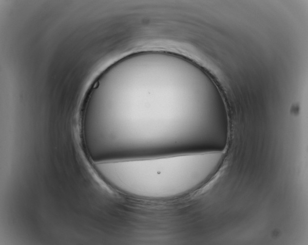 X0000101711517200807101357