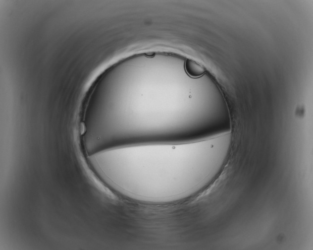 X0000101711518200807101357