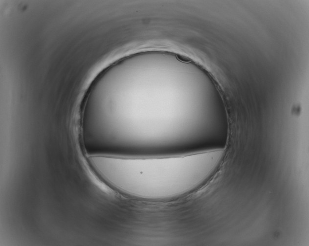 X0000101711519200807101357