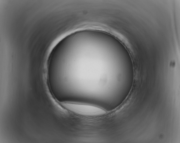 X0000101711520200807101357