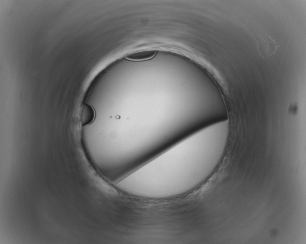 X0000101711522200807101357