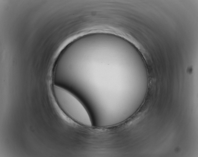 X0000101711523200807101357