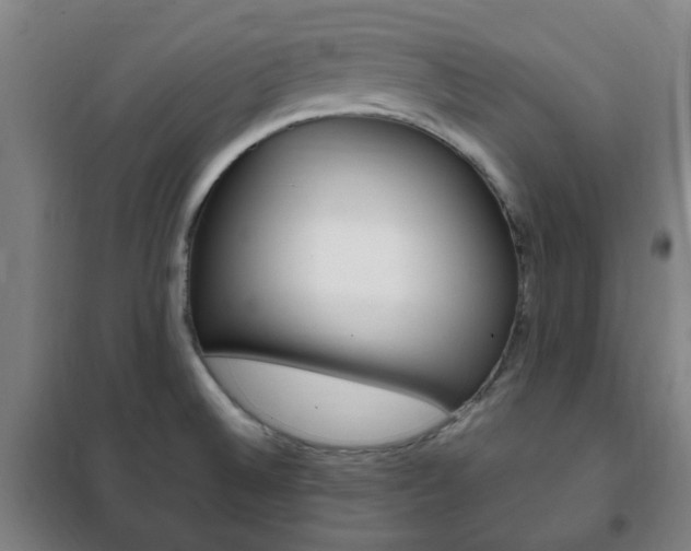 X0000101711524200807101357