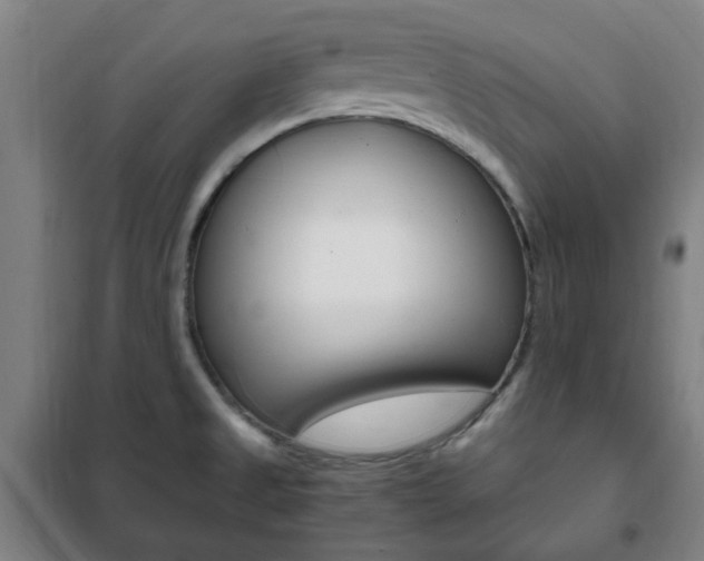 X0000101711525200807101357