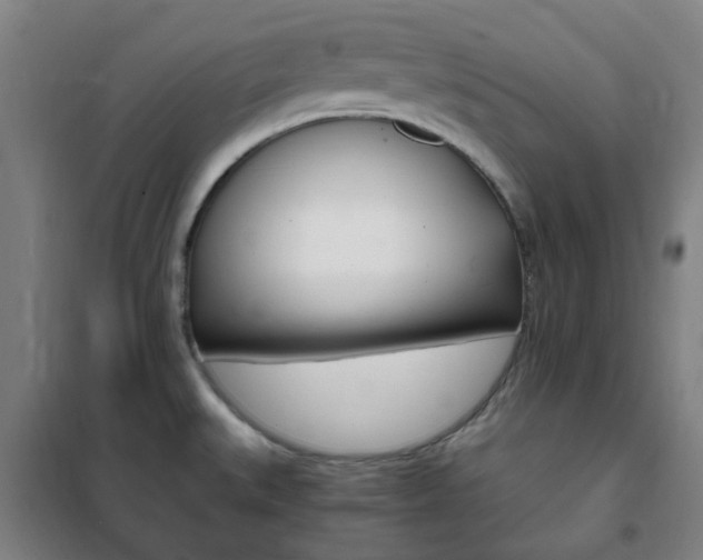 X0000101711527200807101357