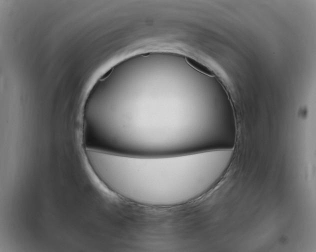 X0000101711528200807101357