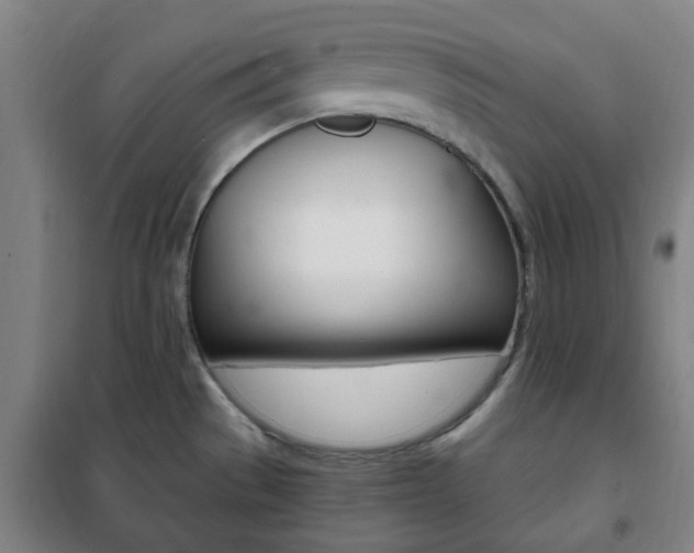 X0000101711529200807101357