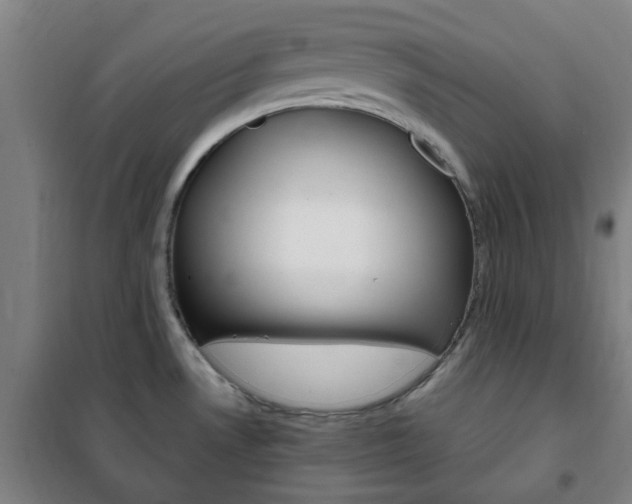 X0000101711530200807101357